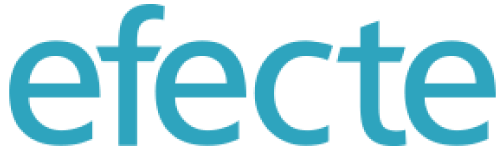 Efect logo
